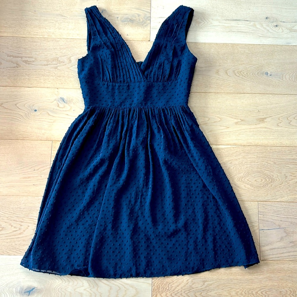 Blue jcrew tea party dress